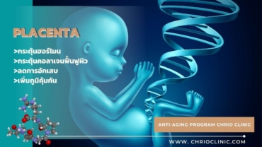 ฟื้นฟูจากภายในด้วยPlacenta Therapy เหมาะกับใครบ้าง - ChrioClinic